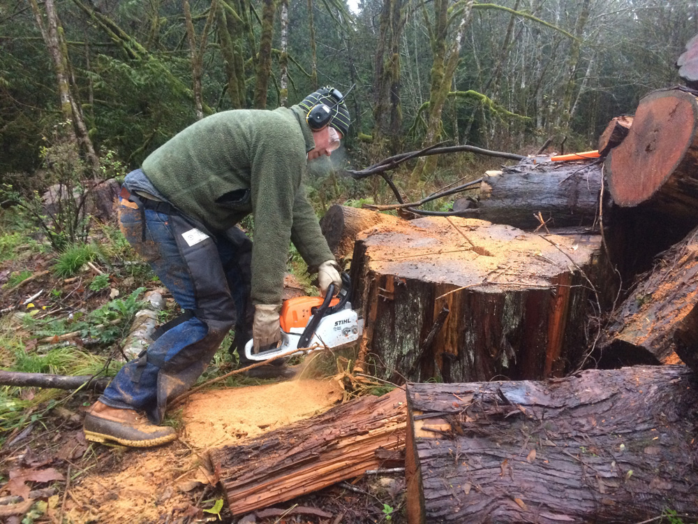 Andy McConnell, woodworking visual artist in West Seattle, WA working the chainsaw