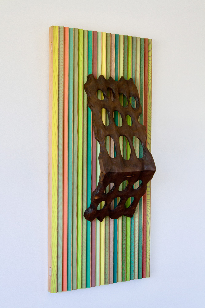 Carapace by Andy McConnell, image 3