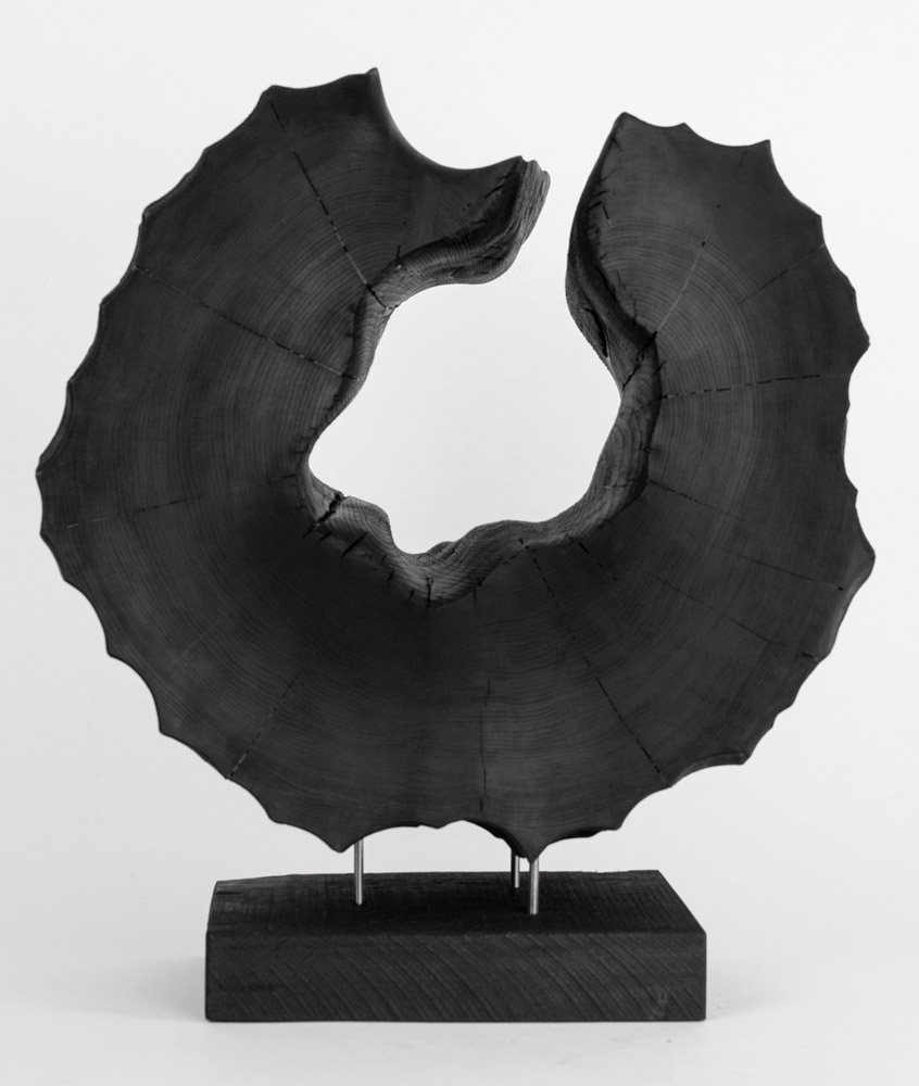 Leather Cat 2 by Andy McConnell, image 1
