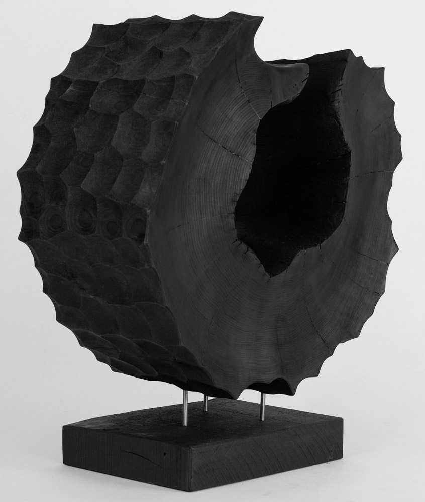 Leather Cat 2 by Andy McConnell, image 2