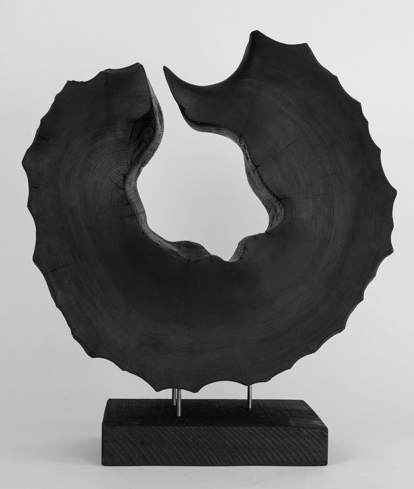 Leather Cat 2 by Andy McConnell, image 3