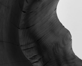Leather Cat 3 by Andy McConnell