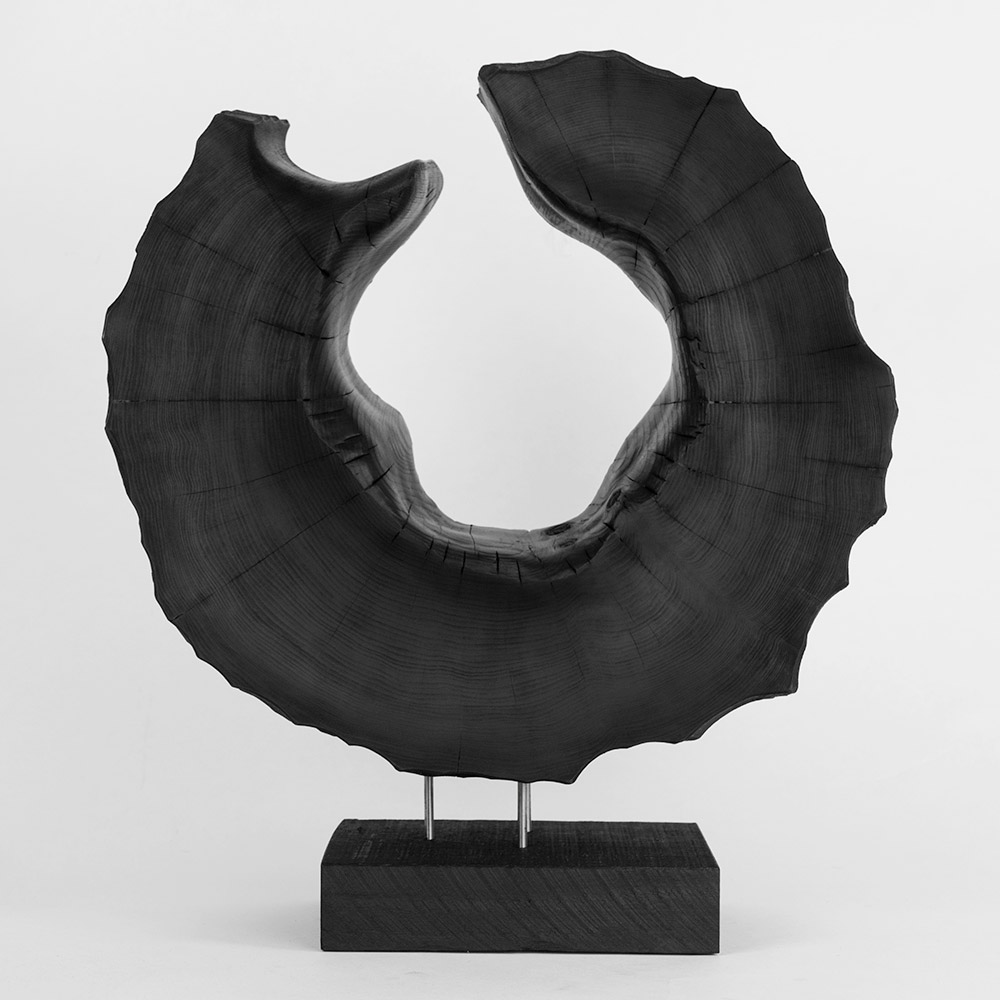 Leather Cat 3 by Andy McConnell, image 1