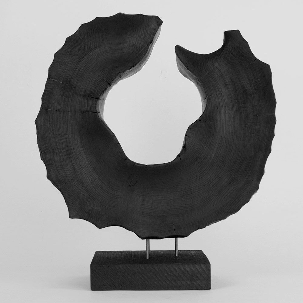 Leather Cat 3 by Andy McConnell, image 3